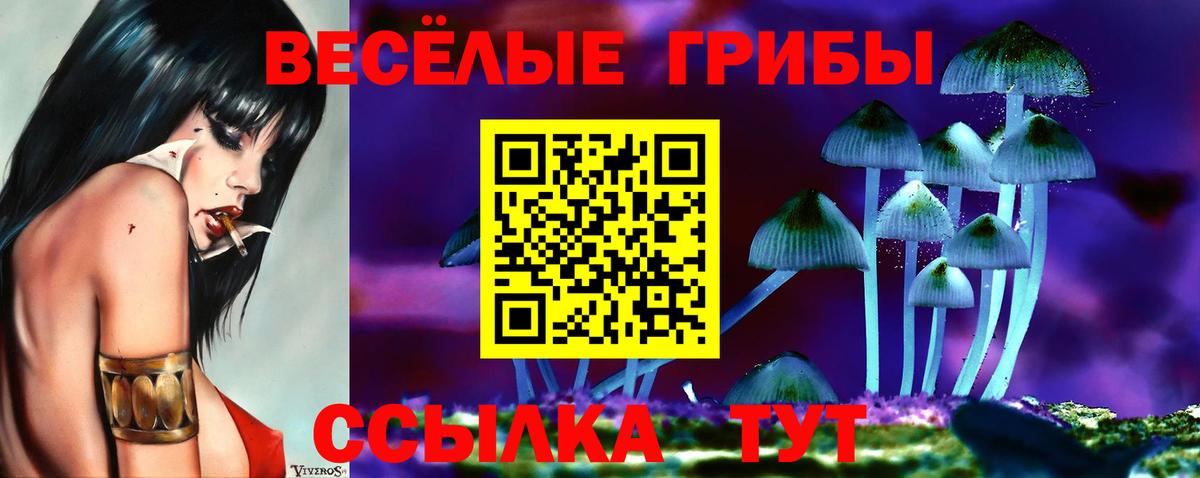 Псилоцибиновые грибы мухоморы  Вход с VPN  Зеленодольск  Галлюциногенные грибы прущие грибы 